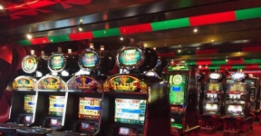 新锦江董事长拜访厦门市委书记胡昌升